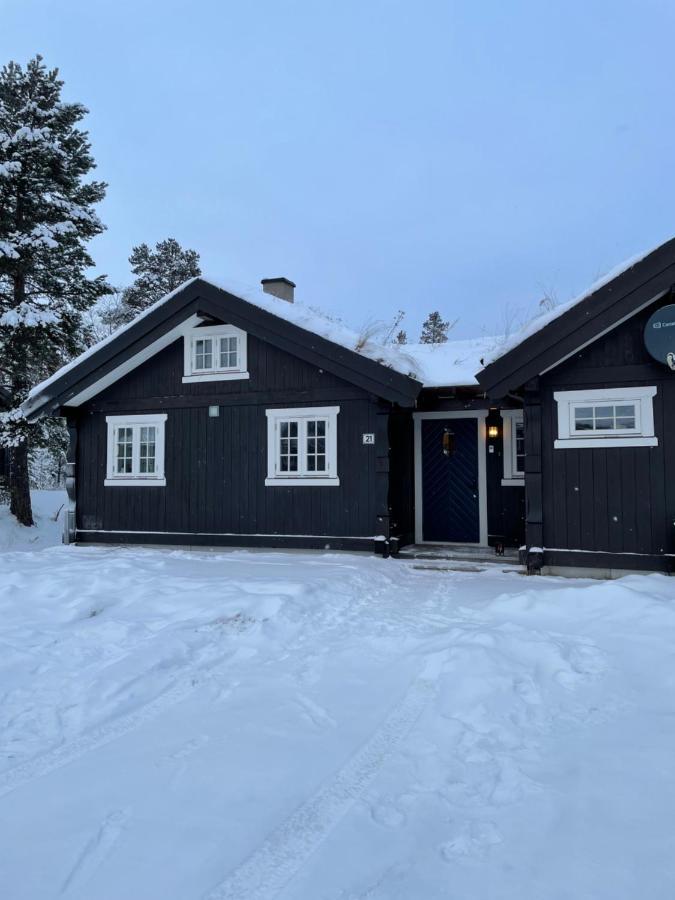 Hytte I Nydelige Jotunhemen - Rett Ved Besseggen Randsverk 外观 照片